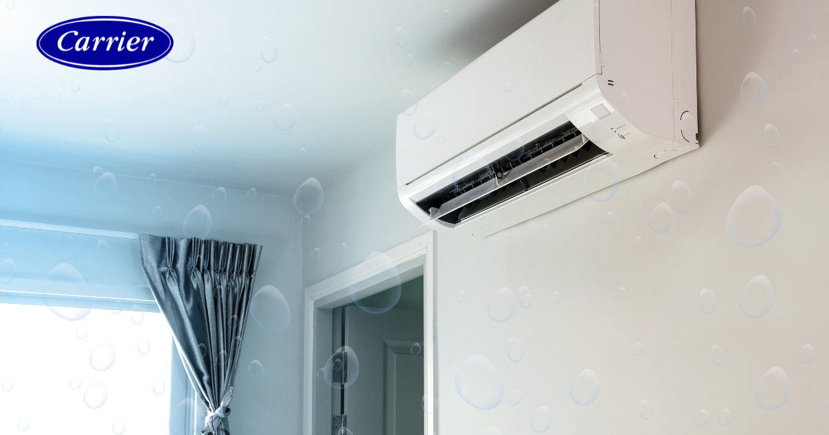 مركز صيانة كاريير